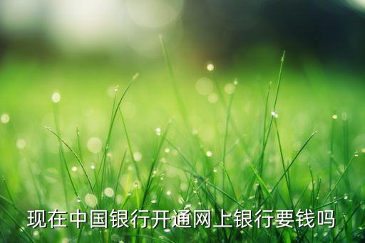 中國(guó)銀行卡網(wǎng)銀費(fèi)用,怎么知道銀行卡有沒有開通網(wǎng)銀