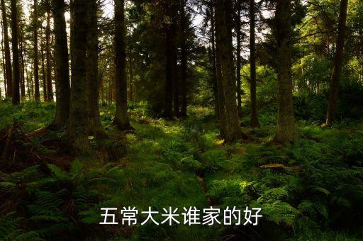 五常大米誰(shuí)家的好