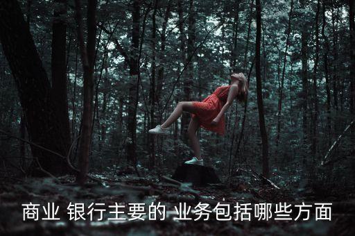 商業(yè) 銀行主要的 業(yè)務(wù)包括哪些方面