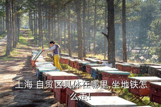  上海 自貿區(qū)具體在哪里,坐地鐵怎么走!