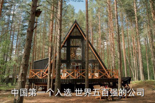 中國第一個入選 世界五百強的公司