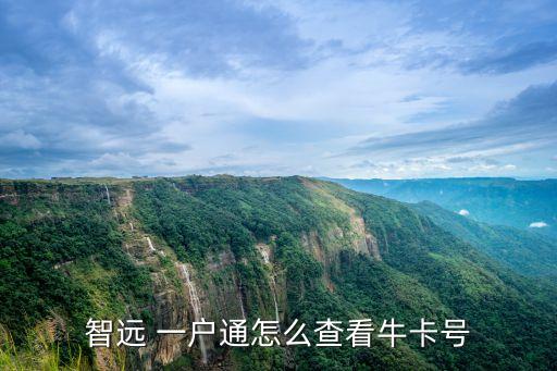 智遠(yuǎn) 一戶通怎么查看?？ㄌ? class=
