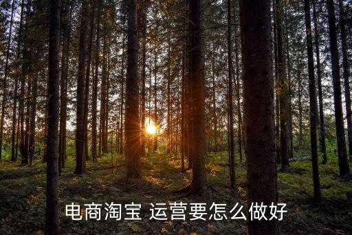 電商淘寶 運(yùn)營(yíng)要怎么做好