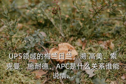 UPS領(lǐng)域的梅蘭日蘭、溯 高美、索克曼、施耐德、APC是什么關(guān)系誰(shuí)能說(shuō)清...