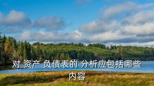 對 資產 負債表的 分析應包括哪些內容