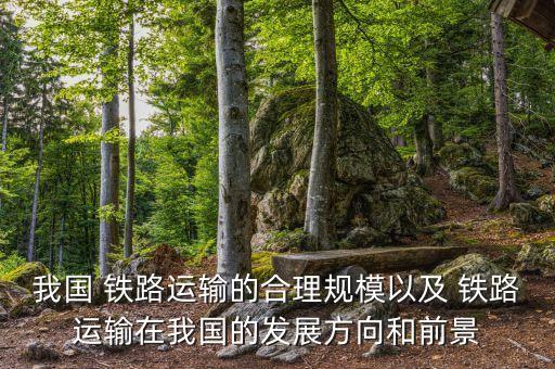 我國 鐵路運(yùn)輸?shù)暮侠硪?guī)模以及 鐵路運(yùn)輸在我國的發(fā)展方向和前景