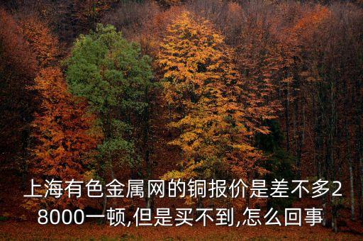 上海銅貿易商,中國最大的銅貿易商