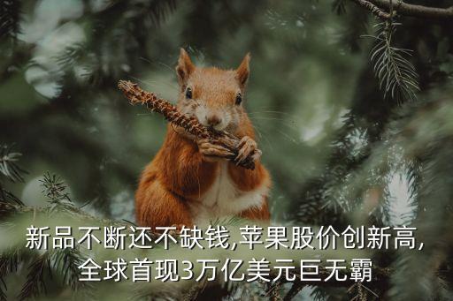 蘋果公司現(xiàn)金