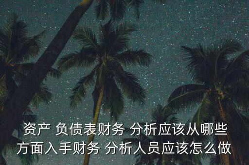  資產 負債表財務 分析應該從哪些方面入手財務 分析人員應該怎么做