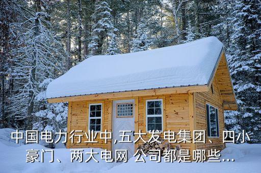 中國電力行業(yè)中,五大發(fā)電集團、四小豪門、兩大電網(wǎng) 公司都是哪些...