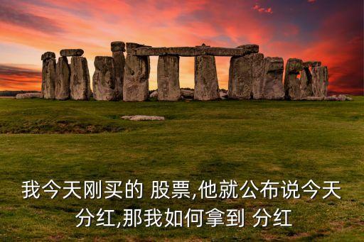 股票分紅怎么領(lǐng)取,什么是分紅股