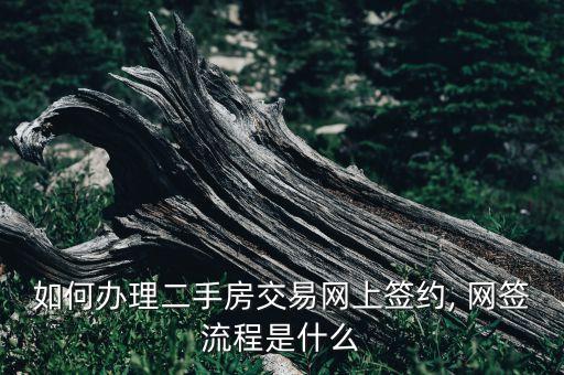 如何辦理二手房交易網上簽約, 網簽流程是什么
