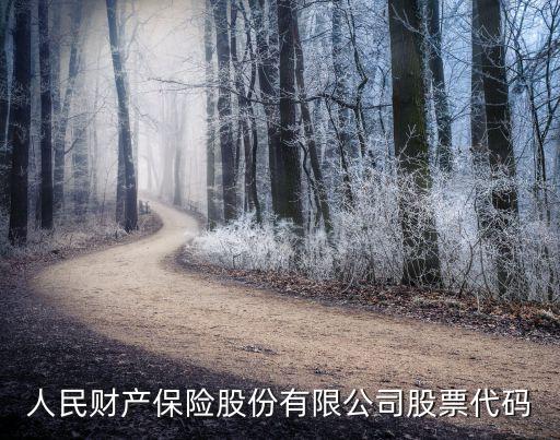 中國人民財(cái)產(chǎn)保險(xiǎn)股份有限公司股票代碼