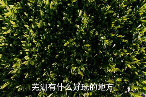 蕪湖有什么好玩的地方