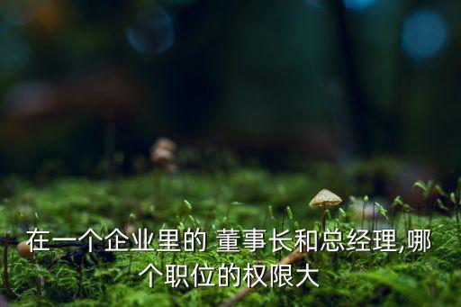 在一個企業(yè)里的 董事長和總經(jīng)理,哪個職位的權限大