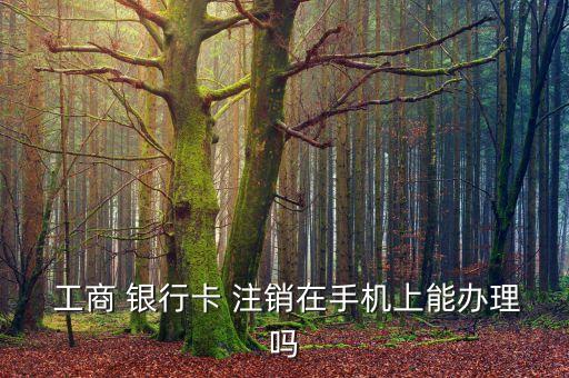  工商 銀行卡 注銷在手機上能辦理嗎
