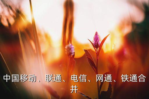 中國(guó)移動(dòng)、聯(lián)通、電信、網(wǎng)通、鐵通合并