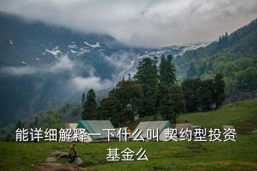 能詳細解釋一下什么叫 契約型投資 基金么