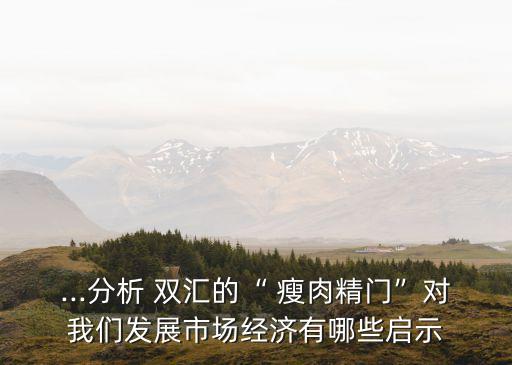 雙匯瘦肉精事件對集團(tuán)影響,雙匯集團(tuán)瘦肉精內(nèi)部控制的現(xiàn)實意義