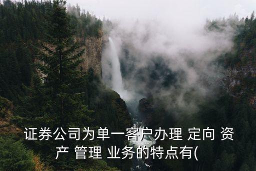  證券公司為單一客戶辦理 定向 資產(chǎn) 管理 業(yè)務的特點有(