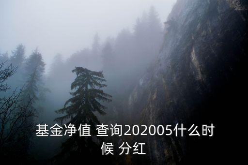  基金凈值 查詢(xún)202005什么時(shí)候 分紅