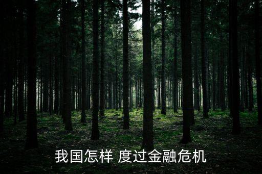 我國怎樣 度過金融危機
