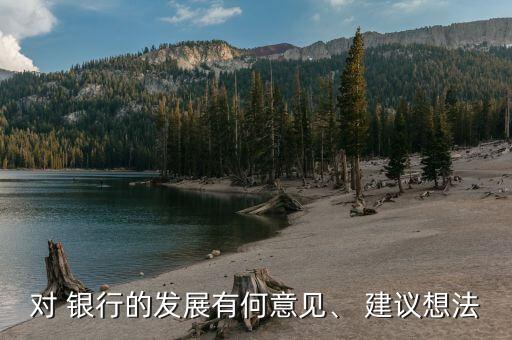 對(duì) 銀行的發(fā)展有何意見(jiàn)、 建議想法
