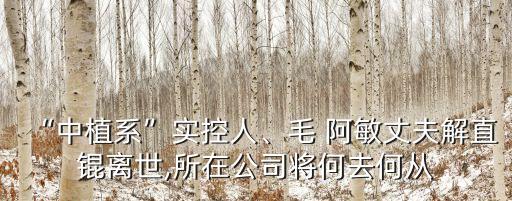 “中植系”實(shí)控人、毛 阿敏丈夫解直錕離世,所在公司將何去何從