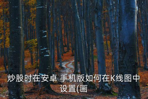 炒股時(shí)在安卓 手機(jī)版如何在K線圖中設(shè)置(畫