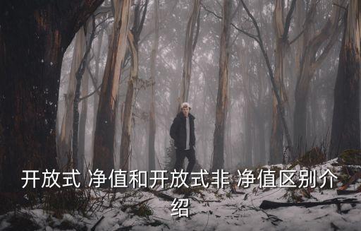 開(kāi)放式 凈值和開(kāi)放式非 凈值區(qū)別介紹