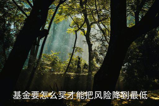  基金要怎么買才能把風(fēng)險降到最低