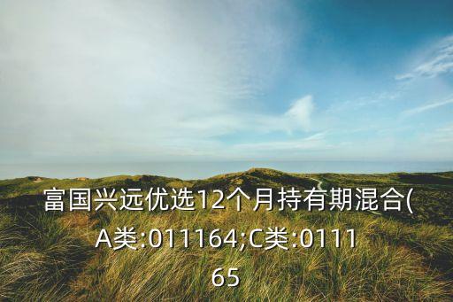  富國興遠(yuǎn)優(yōu)選12個月持有期混合(A類:011164;C類:011165