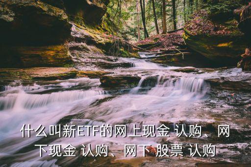 股票認(rèn)購款是什么,股票rsl是什么意思