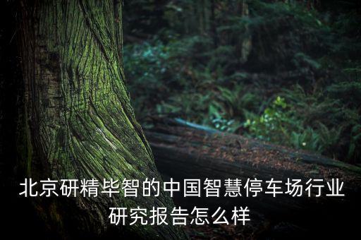  北京研精畢智的中國智慧停車場(chǎng)行業(yè)研究報(bào)告怎么樣