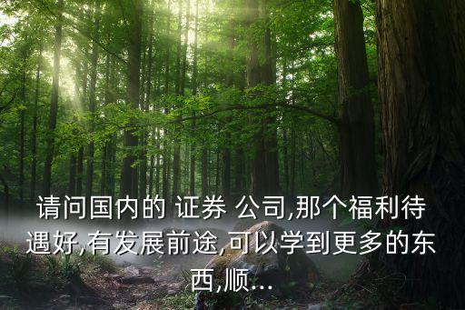 請問國內(nèi)的 證券 公司,那個福利待遇好,有發(fā)展前途,可以學到更多的東西,順...