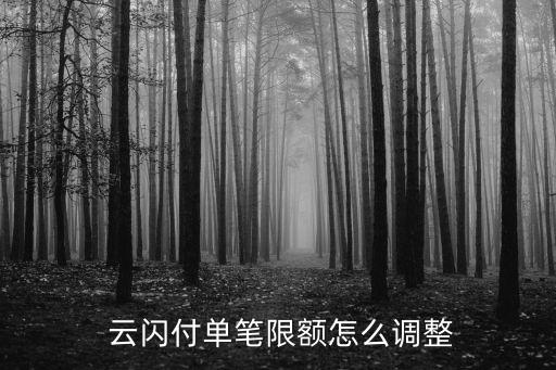  云閃付單筆限額怎么調整