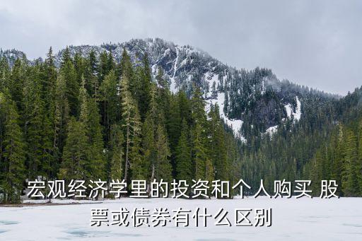  宏觀經(jīng)濟學里的投資和個人購買 股票或債券有什么區(qū)別