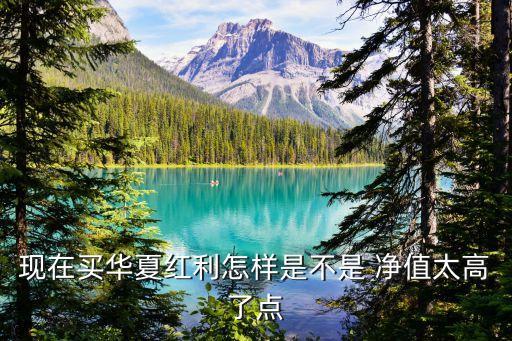 現(xiàn)在買(mǎi)華夏紅利怎樣是不是 凈值太高了點(diǎn)