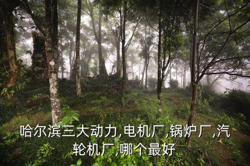 哈爾濱三大動力,電機(jī)廠,鍋爐廠,汽輪機(jī)廠,哪個最好