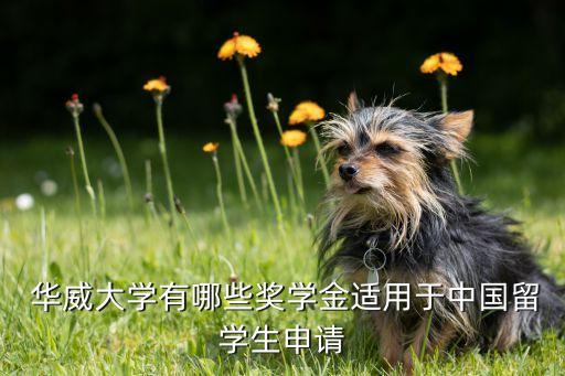  華威大學(xué)有哪些獎(jiǎng)學(xué)金適用于中國(guó)留學(xué)生申請(qǐng)