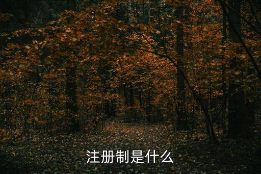 股票注冊(cè)制什么意思,發(fā)行股票注冊(cè)什么意思