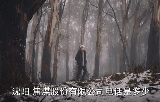  沈陽(yáng) 焦煤股份有限公司電話(huà)是多少