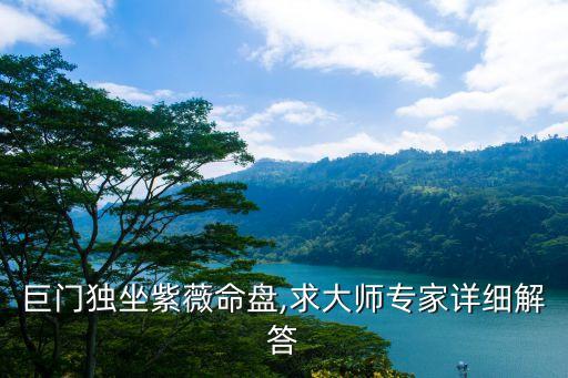 巨門獨坐紫薇命盤,求大師專家詳細(xì)解答