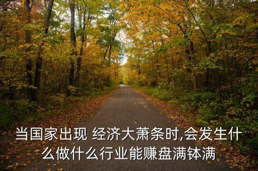 當(dāng)國家出現(xiàn) 經(jīng)濟(jì)大蕭條時,會發(fā)生什么做什么行業(yè)能賺盤滿缽滿