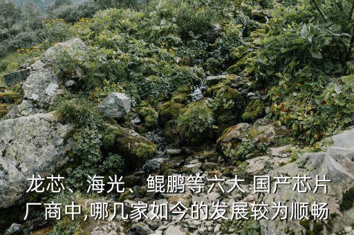  龍芯、海光、鯤鵬等六大 國產(chǎn)芯片廠商中,哪幾家如今的發(fā)展較為順暢