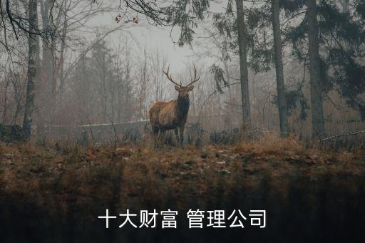 十大財富 管理公司