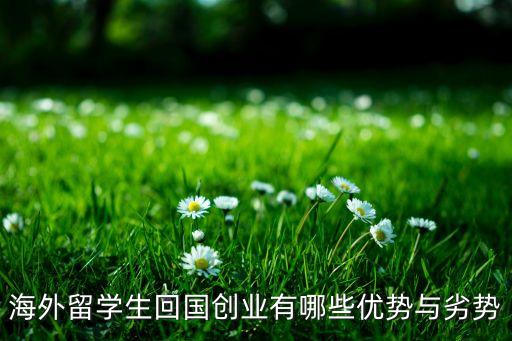 海外留學(xué)生回國創(chuàng)業(yè)有哪些優(yōu)勢(shì)與劣勢(shì)