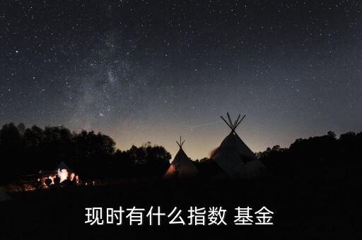 現(xiàn)時(shí)有什么指數(shù) 基金