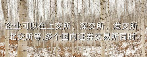 企業(yè)可以在上交所、深交所、港交所、北交所等,多個國內(nèi)證券交易所同時...