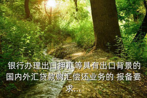  銀行辦理出口押匯等具有出口背景的國(guó)內(nèi)外匯貸款購(gòu)匯償還業(yè)務(wù)的 報(bào)備要求...